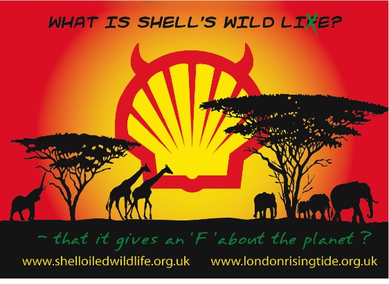 What Is Shell's Wild Lie